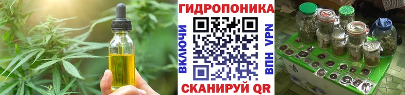 купить   Алейск  Cannafood конопля 