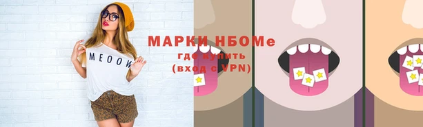МДПВ Пересвет