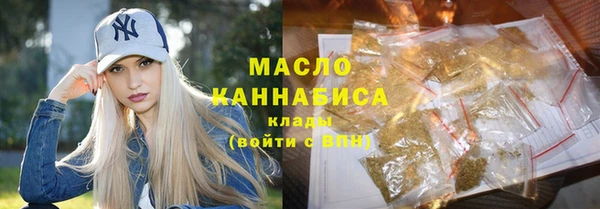 МДПВ Пересвет